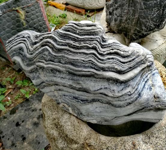 朱鹮故乡发现卷纹石