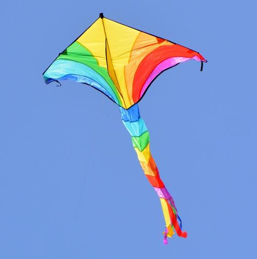 national kite flying day – high as a kite