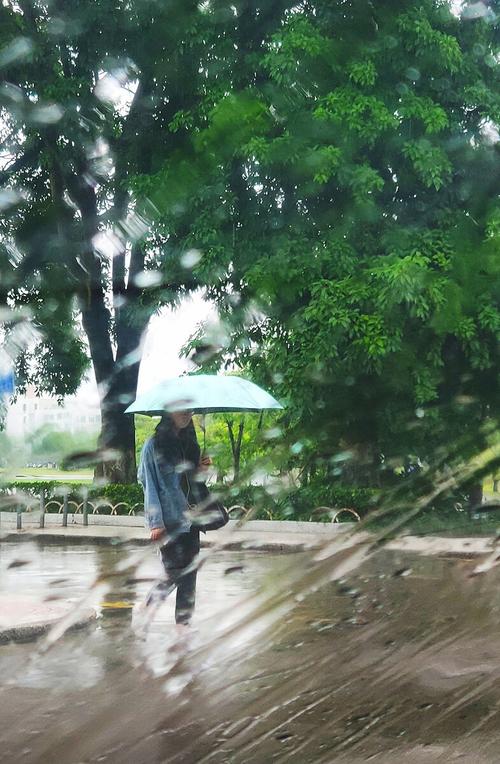 雨天#校园#伞#雨中#撑伞的女生 - 增丽丽 - 图虫