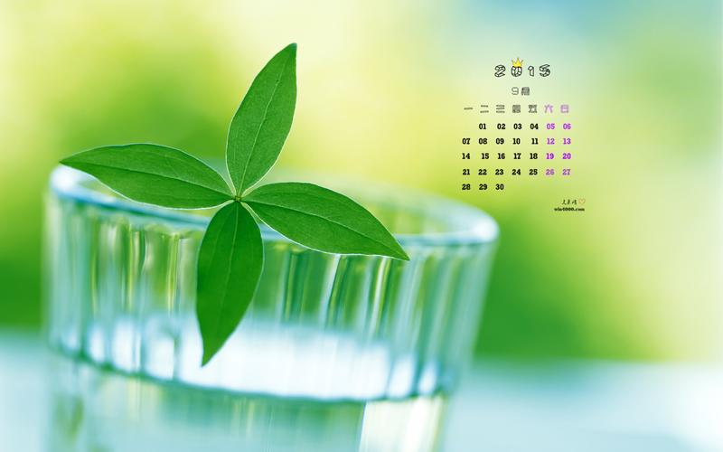 2015年9月日历保护视力的绿色风景桌面壁纸下载2