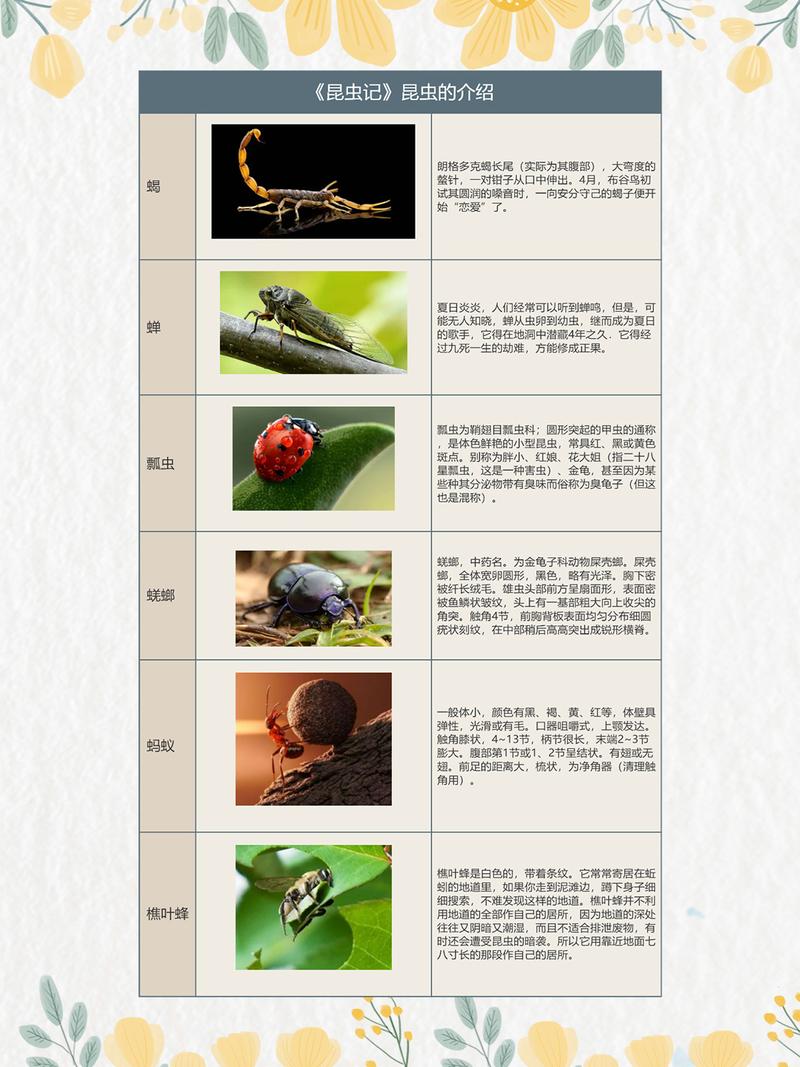 名著《昆虫记》之昆虫介绍与特点