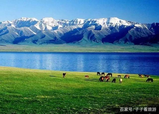 雪山下的草原,新疆--巴里坤草原!
