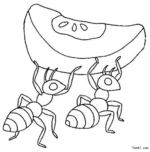 蚂蚁-简笔画图片-儿童资源网手机版