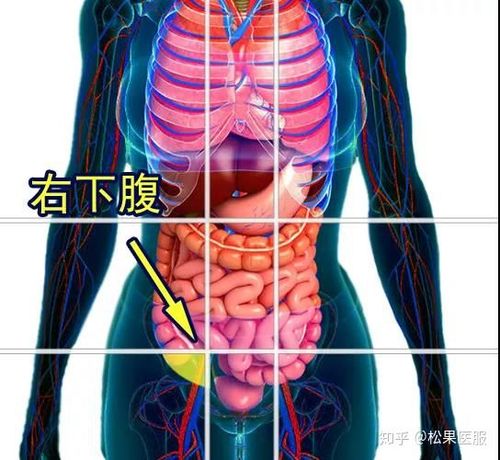 同的腹痛症状,这里列举几个,方便大家筛查对照: 02肠套叠 ●腹痛位置