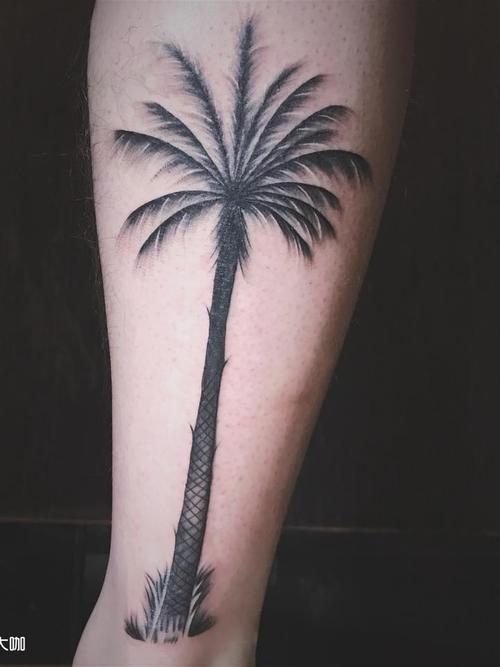 小腿,椰子树_纹身图案手稿图片_董一龙的纹身作品集