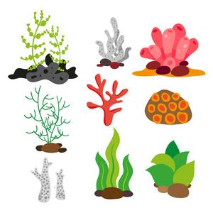 海洋植物的生命图片-海洋植物的生命素材-海洋植物的生命插画-摄图新