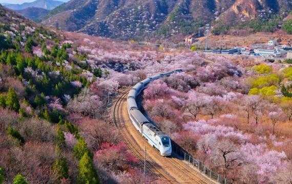 开往春天的列车北京市郊铁路s2线助力市民赏花观景