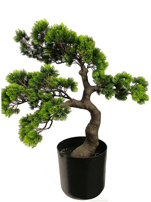 高品质人造植物迎宾松盆景树顶级销售植物装饰室内室外 - buy bonsai