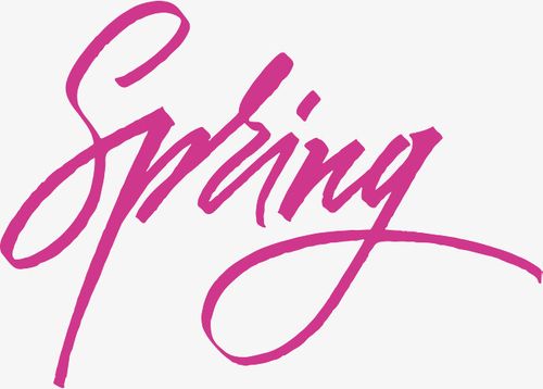 spring粉红色手写英文春天