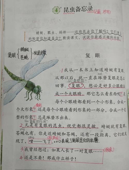 备课笔记丨三年级下册语文00昆虫备忘录03