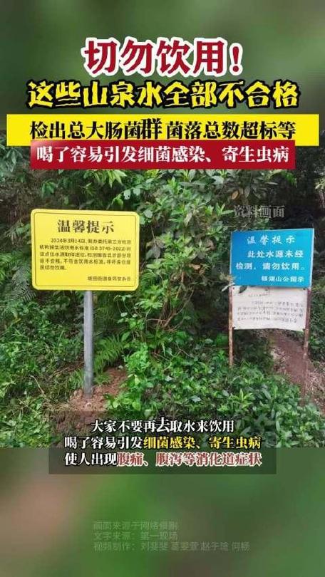 深圳银湖山郊野公园鸡公山 的3处取水点检测全部不_