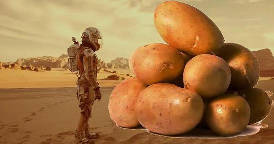 《火星救援》中的马特·达蒙和他的土豆