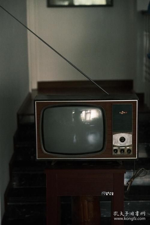 第一代泰山牌电视机.