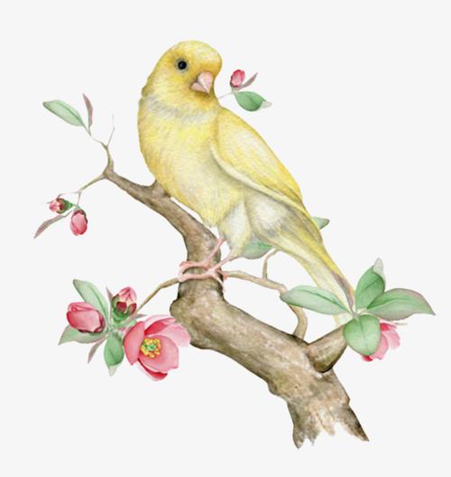 手绘卡通黄色树枝上的金丝雀