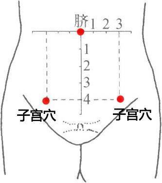 子宫穴位于下腹部,脐下一横掌处(脐下4寸)正中.