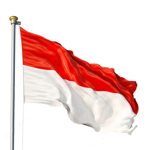 印度尼西亚共和国国旗
