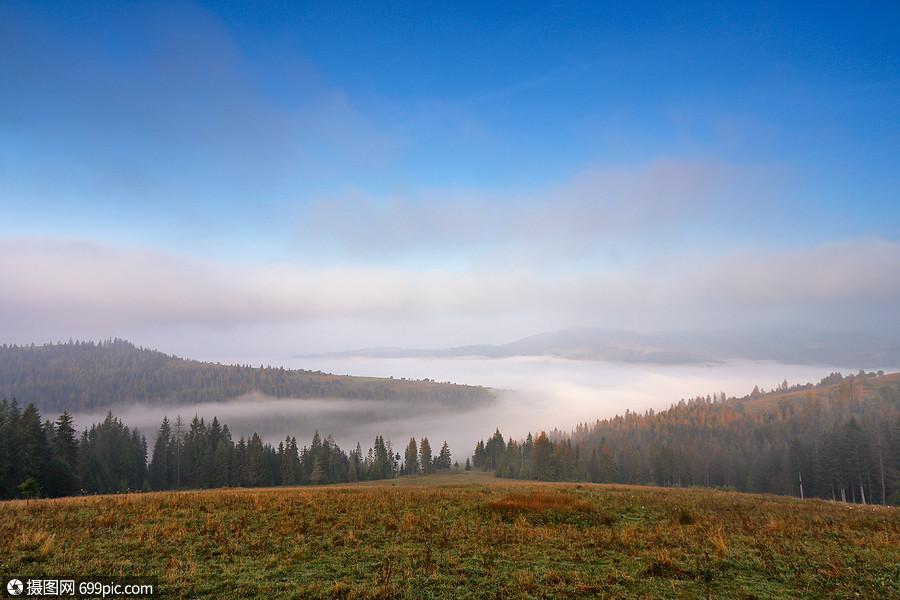 九月的秋天,喀尔巴阡山上雾蒙蒙的早晨云森林