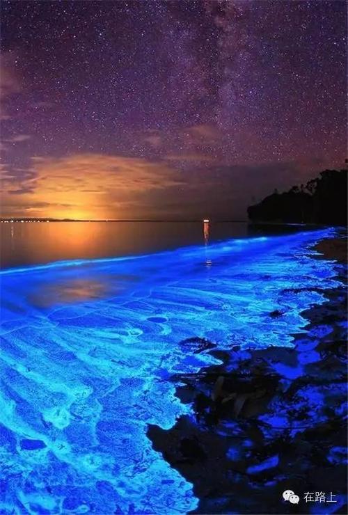 波多黎各的荧光海滩