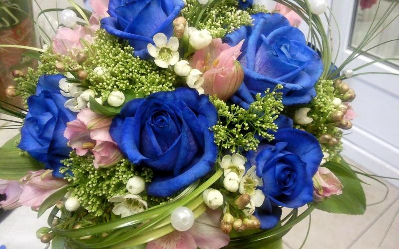 蓝玫瑰,高清图片,花朵壁纸 - 彼岸桌面
