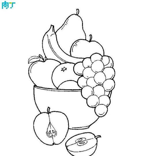 各种水果简笔画怎么画水果简笔画
