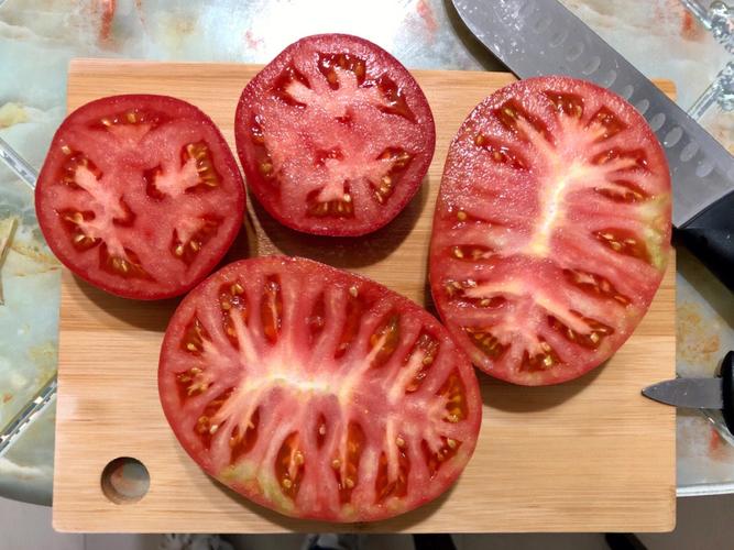 一直觉得番茄的横切面甚是好看