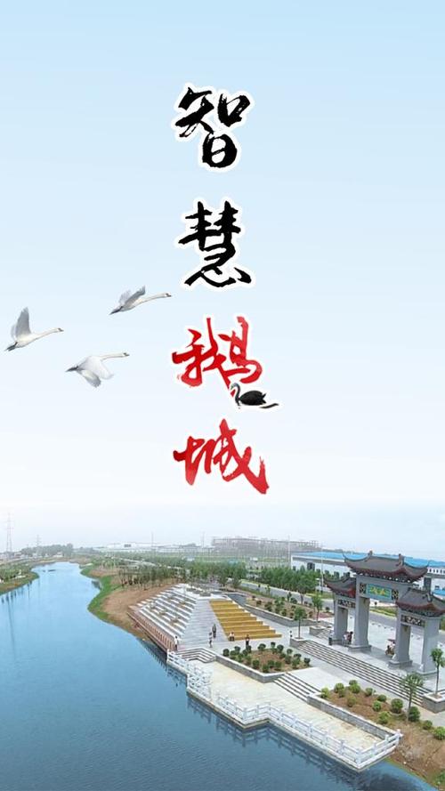 智慧鹅城是一款生活服务的app,智慧鹅城是由河北沧州市广平县以互联网