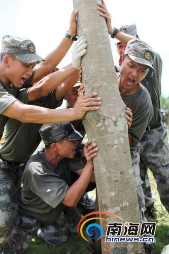 海南省军区75569部队救灾不仅把树扶起还要保活