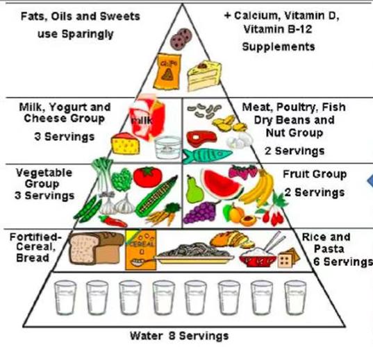 你知道食物金字塔吗?