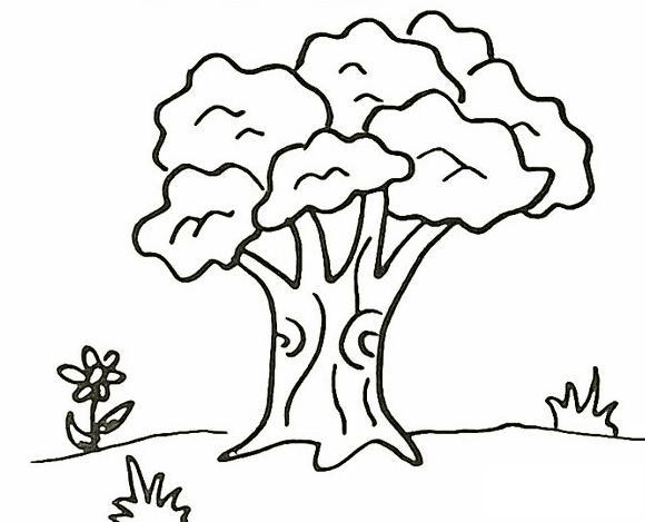 花草树木怎么画花草树木简笔画画法步骤教程大树简笔画