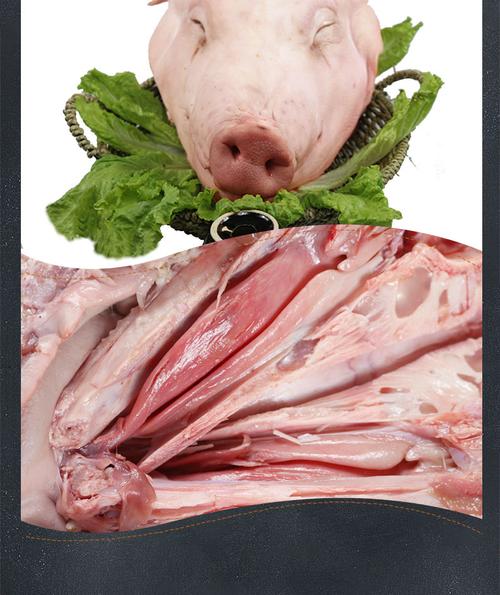新鲜猪头4500g整个生猪头9斤带骨带耳朵整猪头生猪头肉