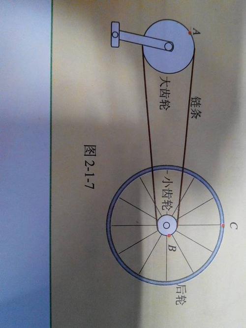 自行车的大齿轮与小齿轮通过链条相连,而后轮与小齿轮是绕共同的轴