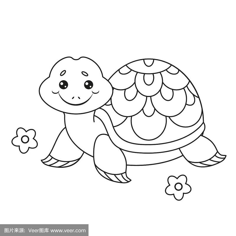 海龟,绘画插图,书页,可爱的,矢量