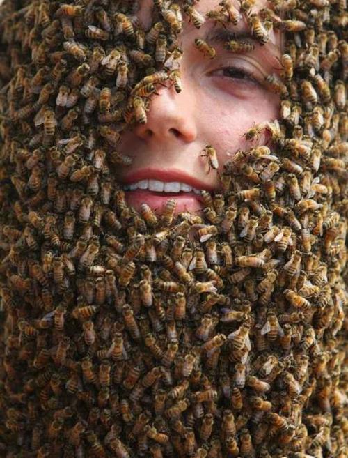 加"蜜蜂胡子"大赛上万只蜜蜂爬满脸【3】