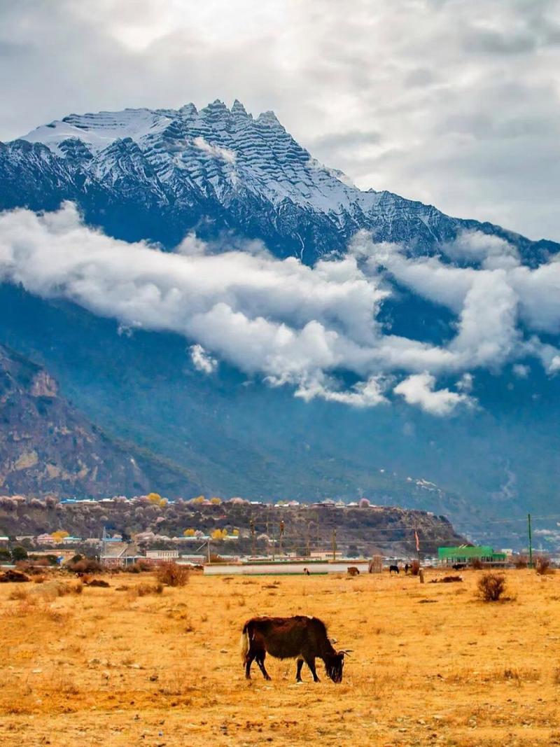 199珠穆朗玛峰8848米 作为西藏蕞高山峰的珠穆朗玛峰,是喜马拉雅
