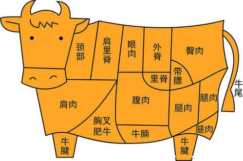 我是超级爱吃牛肉的人儿,先来张牛肉分割图解分享给大家进行普及了解!