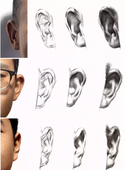 板绘素描头像中画耳朵的画法与技巧