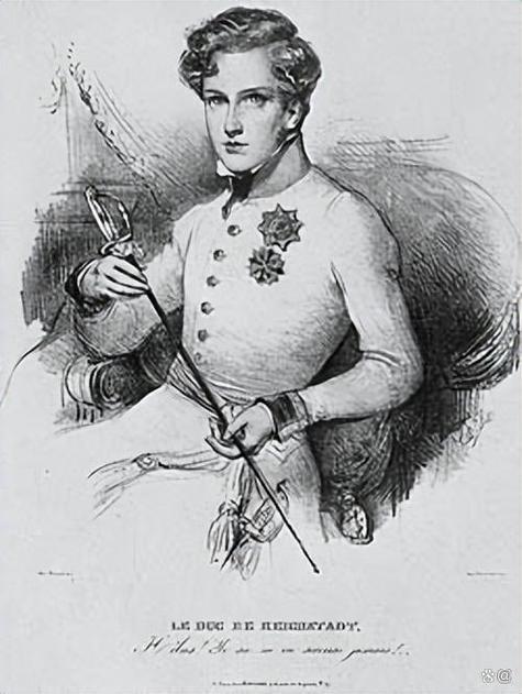 拿破仑·弗朗索瓦·约瑟夫·夏尔·波拿巴