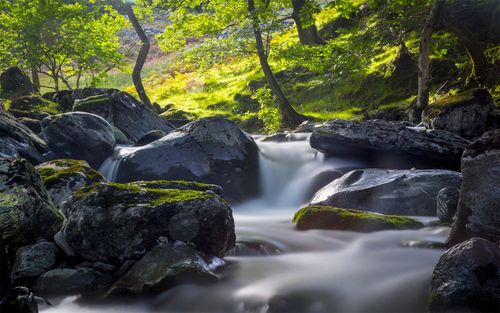 清新山涧森林河流自然风景高清摄影电脑壁纸图片大全