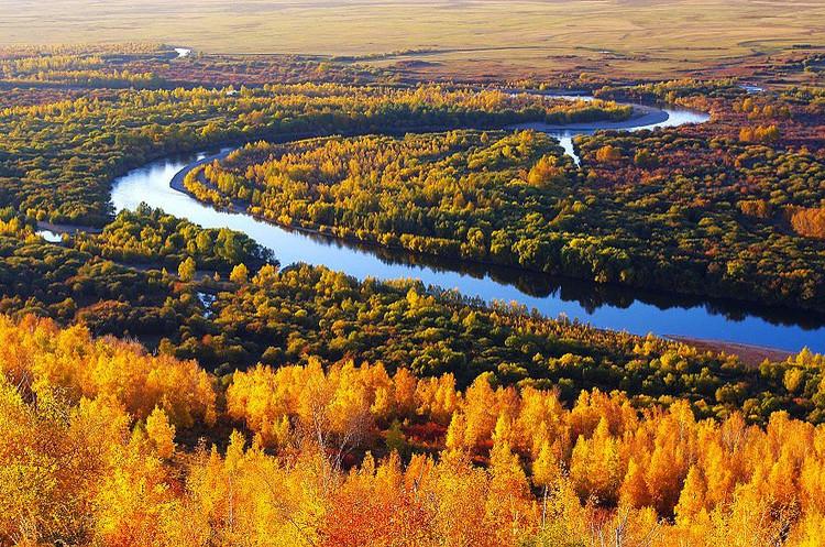 内蒙古大兴安岭:根河市湿地保护区秋景