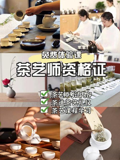 茶艺师资格证茶艺课程丨初级中级高级