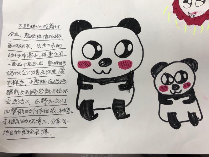 三(4)班习作《大熊猫》资料搜集