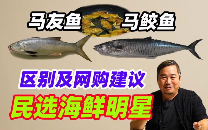 中国沿海名产,马友鱼和马鲛鱼的区别,网购要注意什么