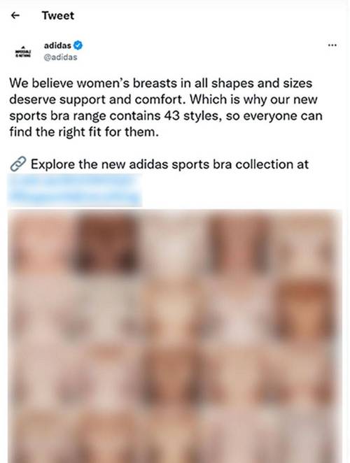 因拍摄女性裸露胸部 阿迪达斯运动内衣广告被禁_品牌_监督机构_乳房