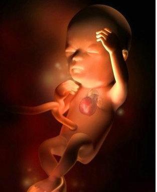 怀孕14周胎儿彩超图怀孕14周胎儿图可以看性别吗