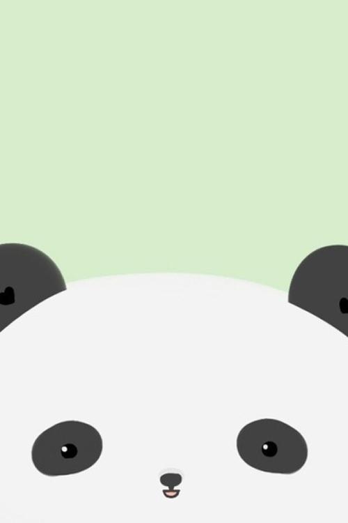 熊猫iphone壁纸桌面背景可爱