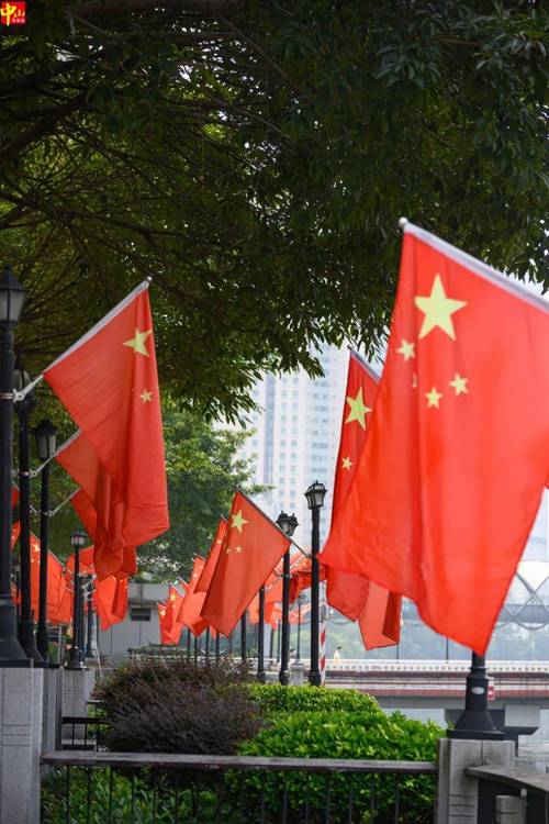 用"中国红"大街小巷挂满了国旗特别醒目在人来人往的大街上整齐划一的
