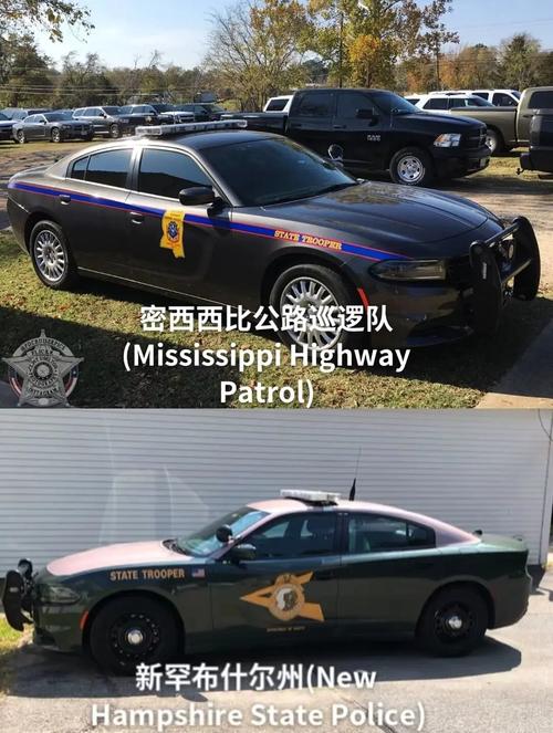 美国50个州州警警车涂装(不分前后排名) - 抖音