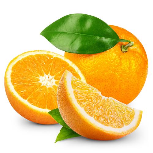 古蔺纽菏尔脐橙甜橙