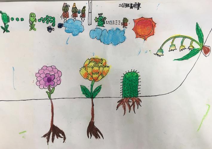 二年级一班《美丽的植物》