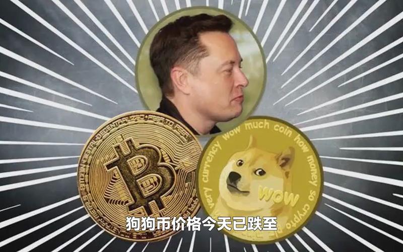 dogecoin狗狗币是2017年央视公布的资金传销组织2017年